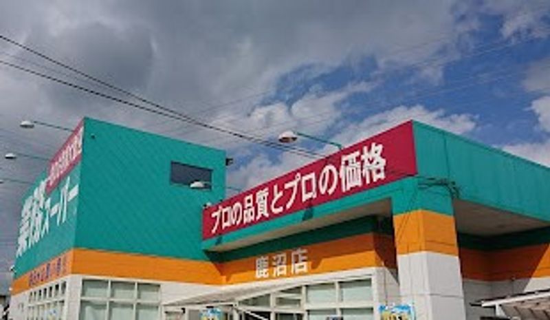 レオパレスパークハイムⅡ 周辺環境