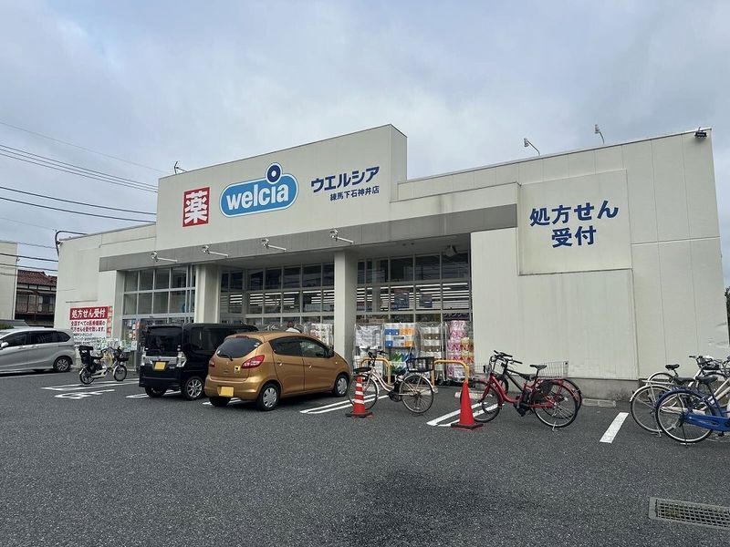 レオネクストグリーン下石神井 周辺環境