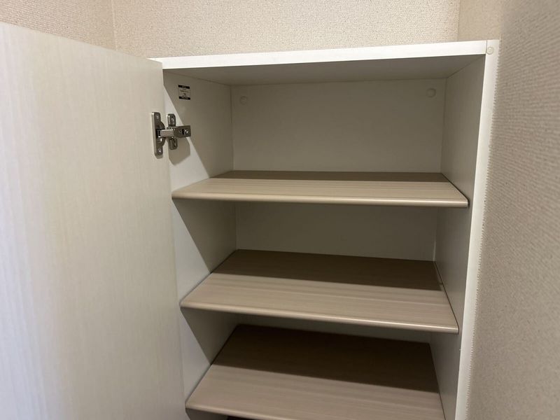 CLEINO Green Bridge 기타