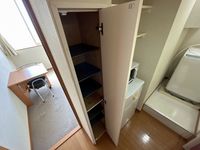 レオパレスグリーン青毛 その他