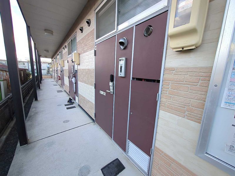 leopalace CATS Khác