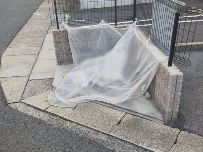 レオネクスト延珠北 共用部分