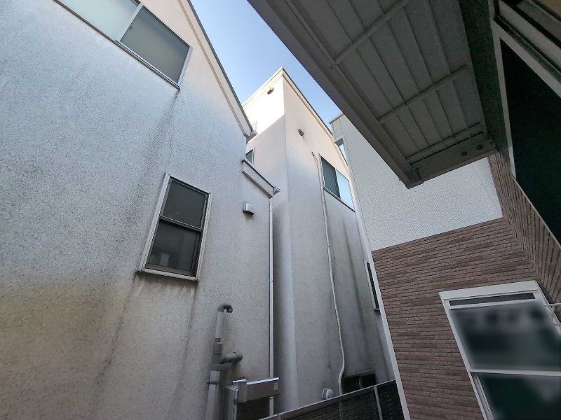 LEONEXT Estrelita 전망