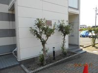 レオパレス舞コートＳ　Ⅰ 共用部分