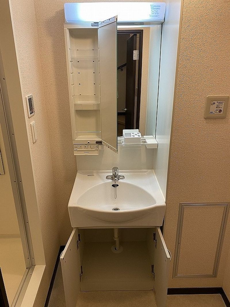 レオネクストすみかわ 洗面台
