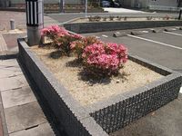 レオパレス中屋敷ルーン 庭