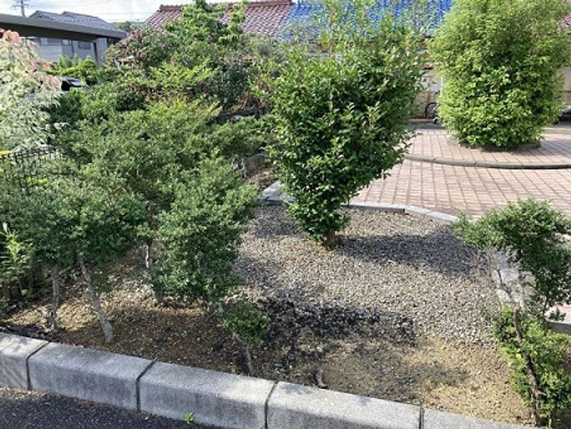 レオパレス信濃 庭