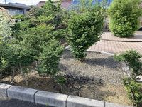 レオパレス信濃 庭