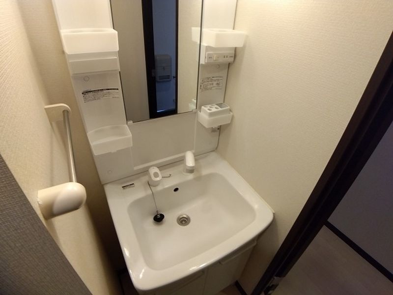 レオネクストコヅチⅥ 洗面所