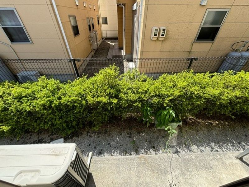 レオネクスト市場台北館 眺望