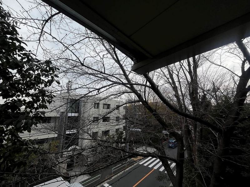 レオパレスラ　ピアンタ都立家政 眺望