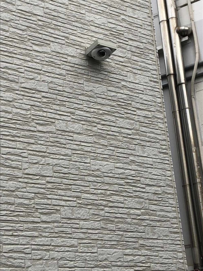 CLEINO Ai Corpo Isogo 기타