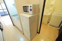 レオネクストプレミール その他