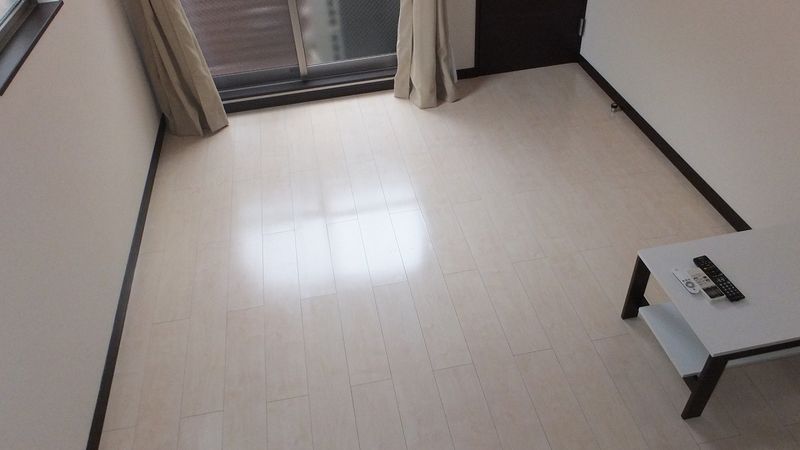 leopalace BOSHUKE Mizuki 거실