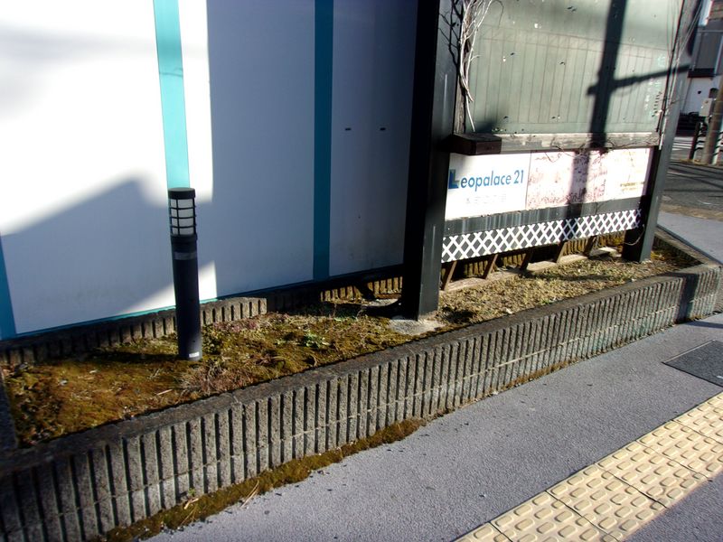 レオパレスユーカリプラザ 庭