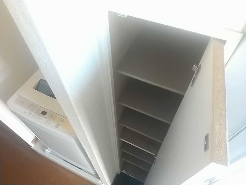 レオパレスピーヌス その他