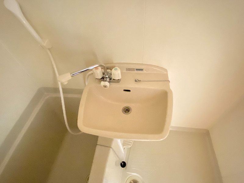 leopalace Sakura II 세면실