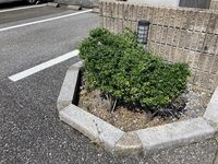 レオパレス岐阜村前 庭