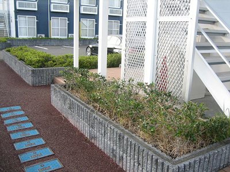 レオパレスみせばや 共用部分