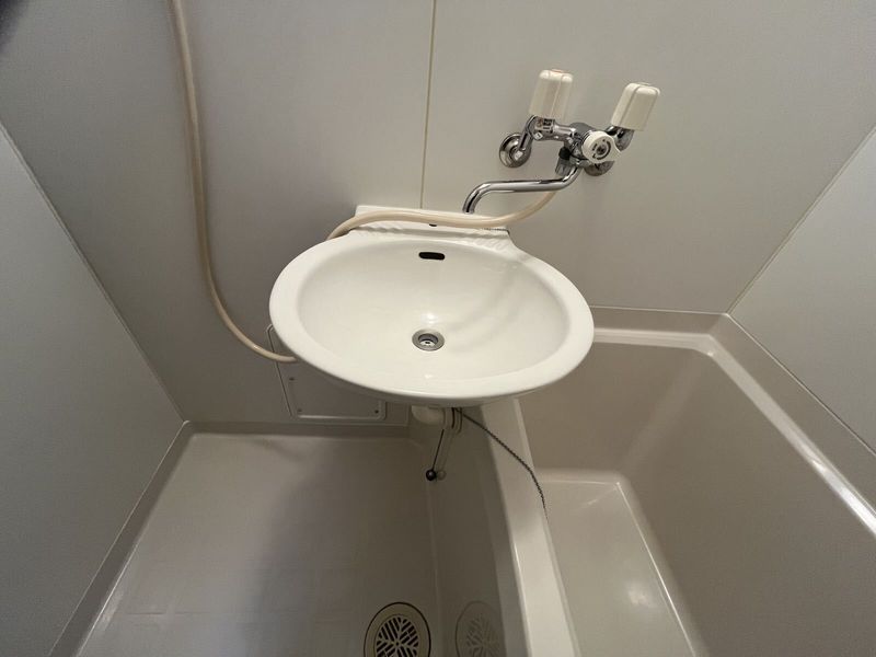 leopalace Miyama Sink