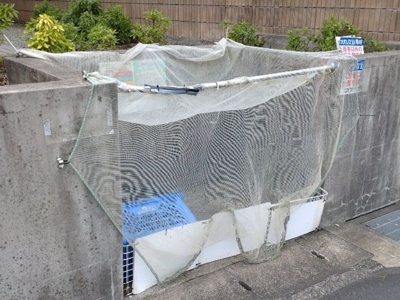 レオパレス川端 共用部分