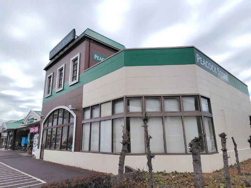 LEONEXT Swing Island Surrounding area