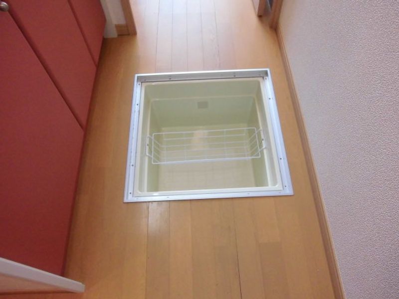 レオネクストアサクラⅥ 収納