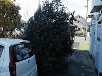 レオパレスわかみや２番館 その他