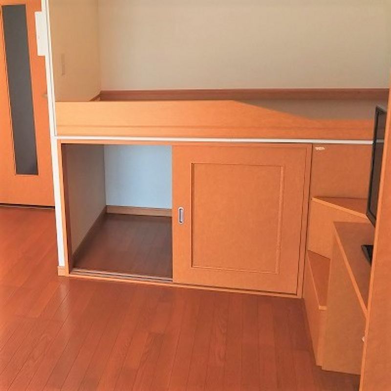 レオネクストプラム 収納