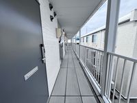 leopalace Michi Khác