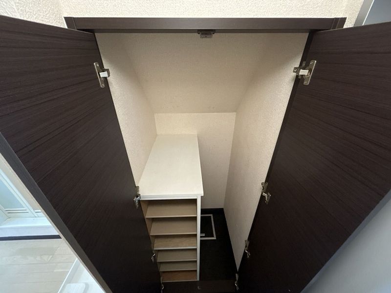 レオネクストかず その他
