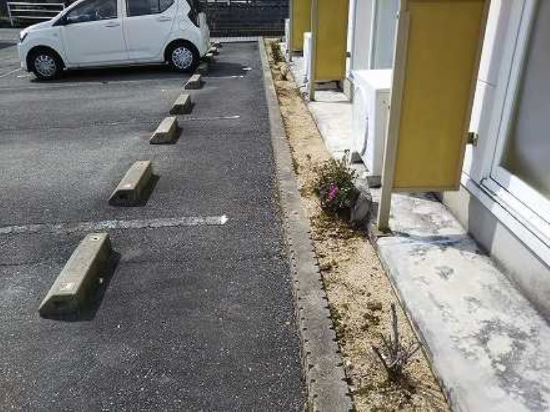レオパレス杏 その他