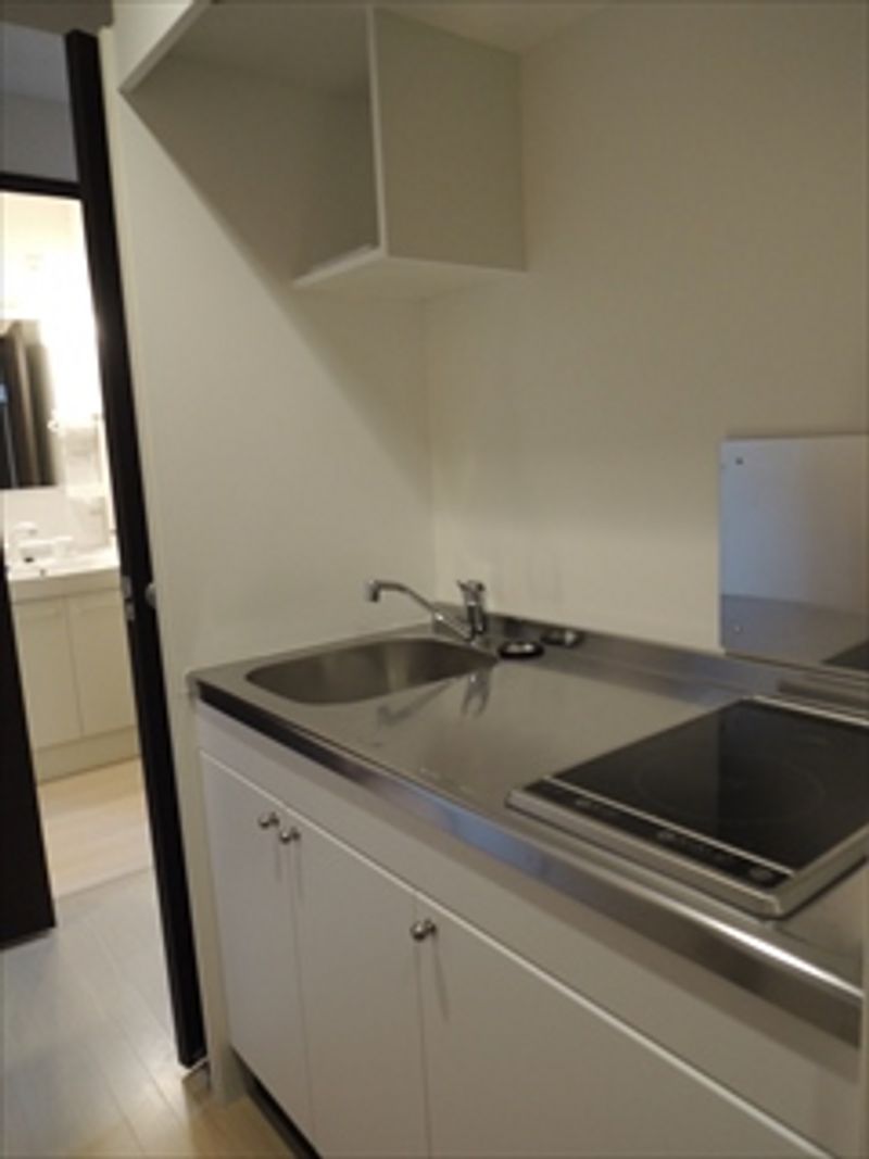 レオネクストマ　ピエス蒲田 キッチン