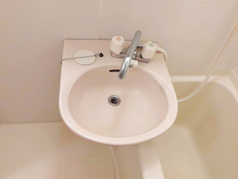 leopalace Cherry Garden C Sink