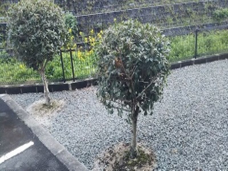 レオパレスクレオ その他