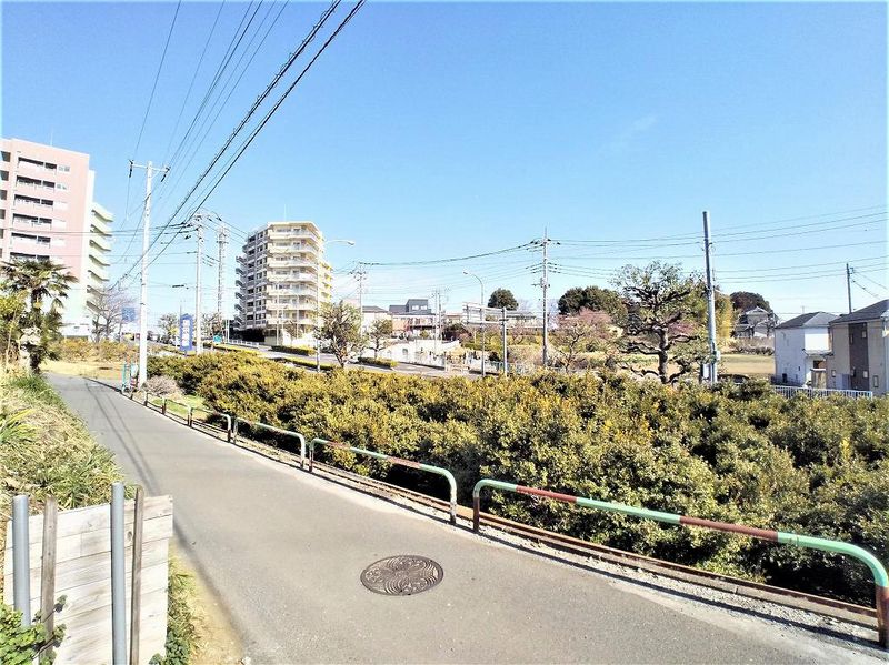 レオネクストシャルマン明花 眺望