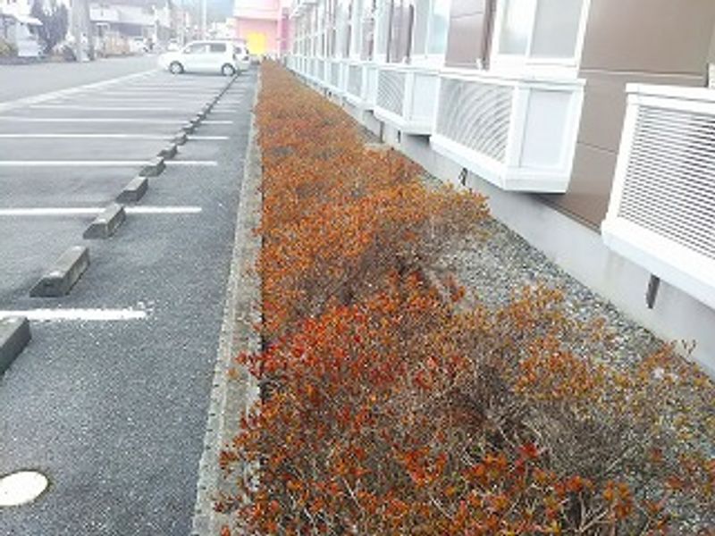レオパレスエルポルトカーサ その他