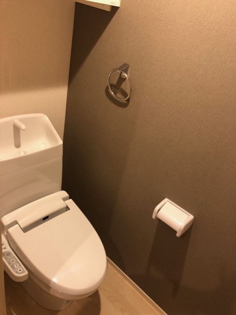 CLEINO Maines Heim Toilet