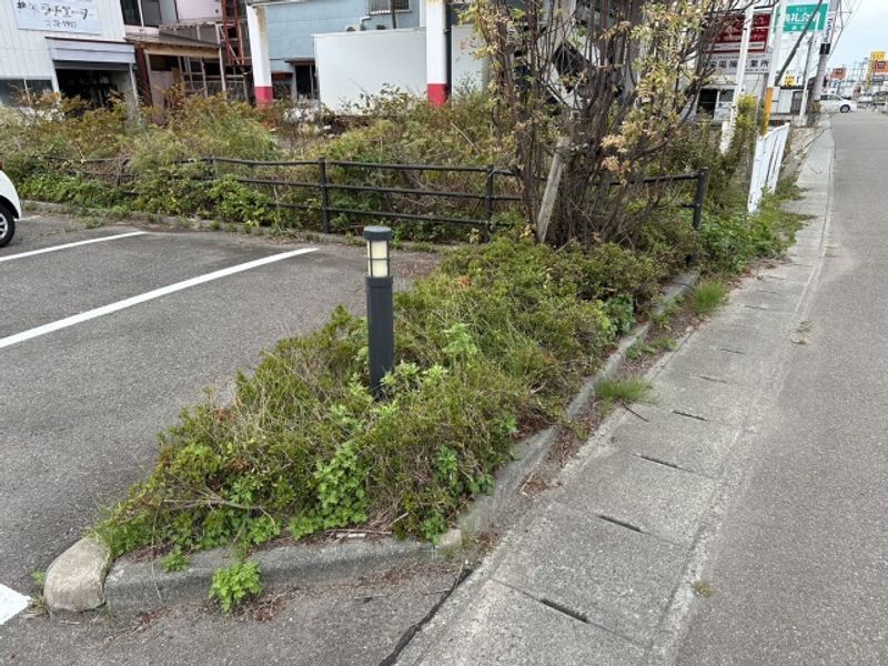 レオパレス横手こまち 庭