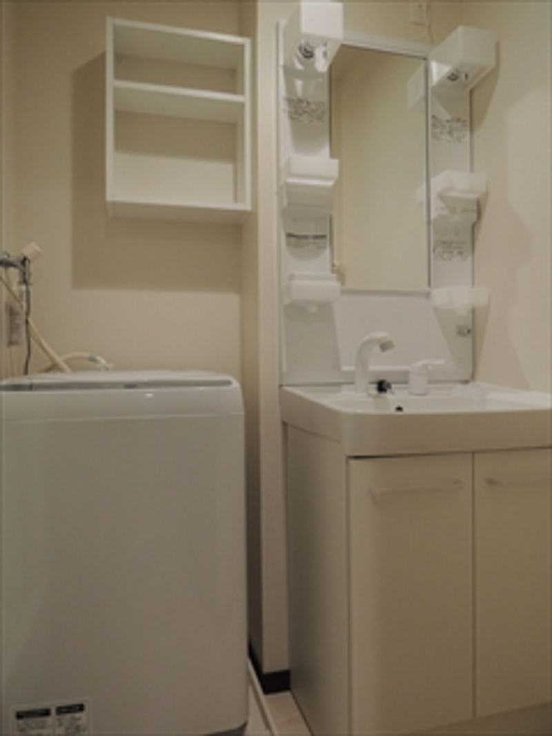 レオネクストマ　ピエス蒲田 洗面台