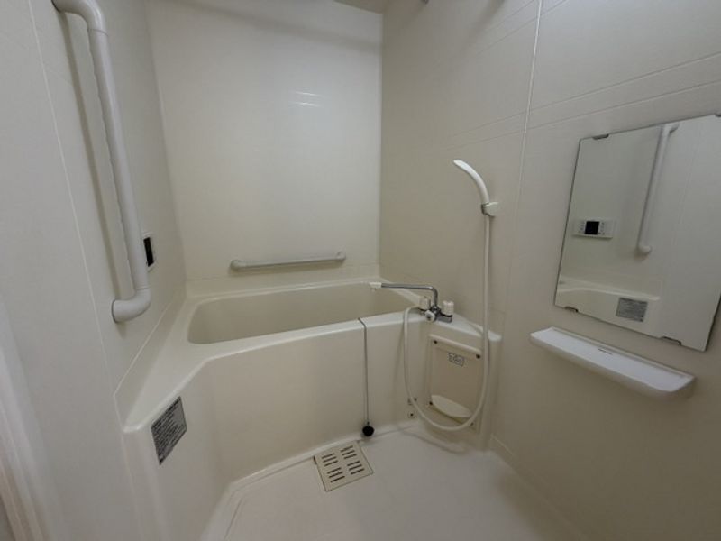 LEONEXT Shiseki Bathroom