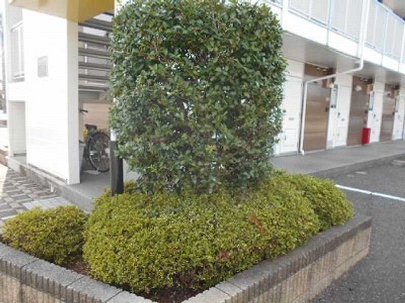 レオパレスアルコバレーノⅡ 共用部分