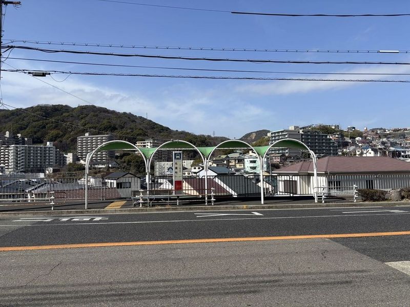 CLEINO N's Garden Surrounding area