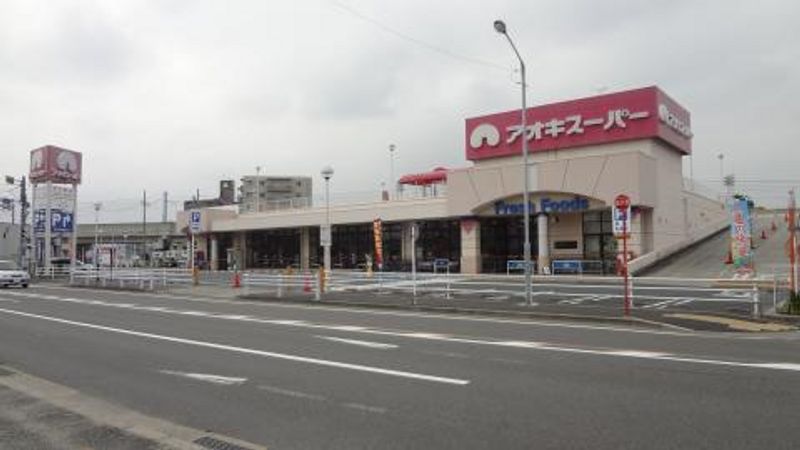レオネクスト八田西 周辺環境