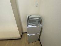 レオネクストリジェール その他